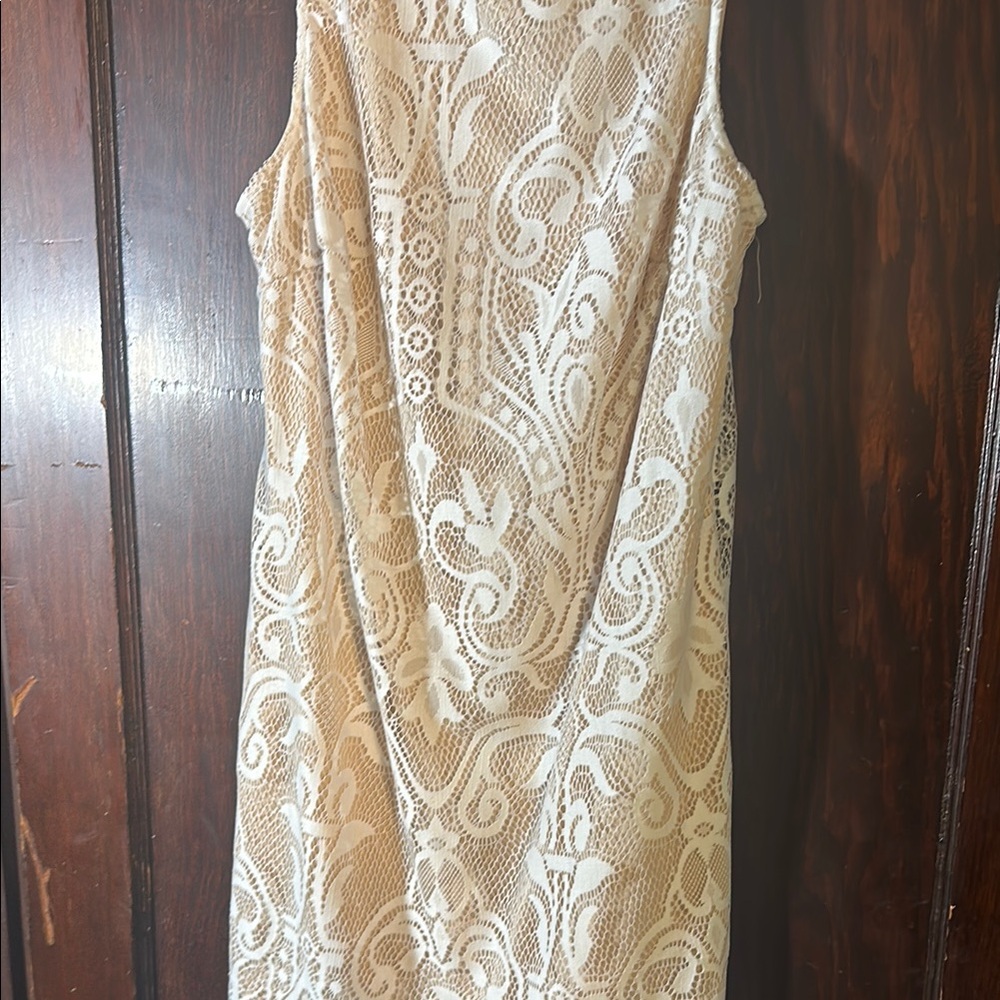 Elegant Cream Lace Dress